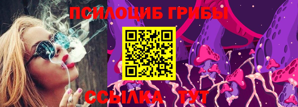 Галлюциногенные грибы GOLDEN TEACHER Гулькевичи