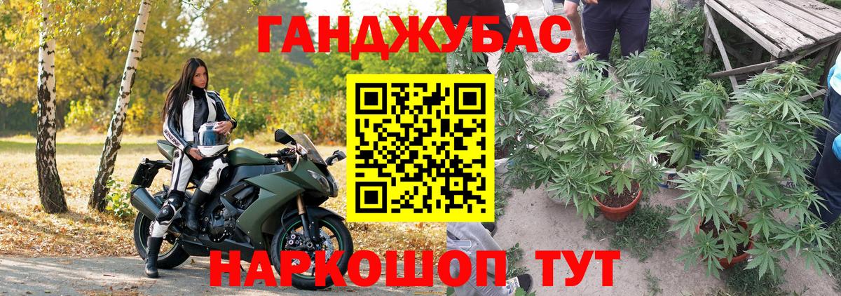 Бошки марихуана OG Kush Гулькевичи